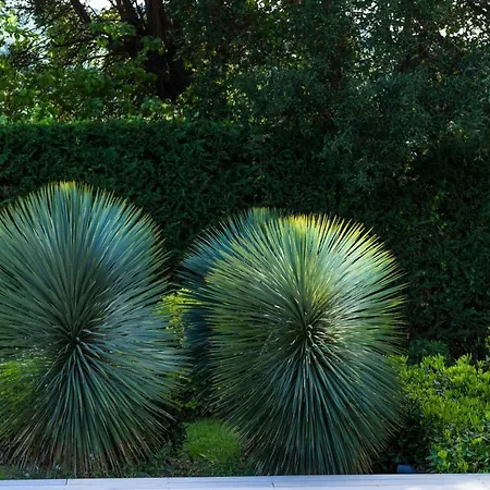 Villa Rubata By The Pearls Collection Saint-Tropez
